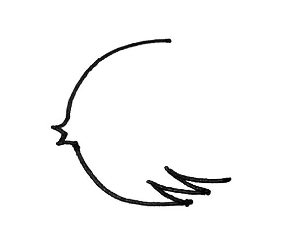 热带鱼简笔画