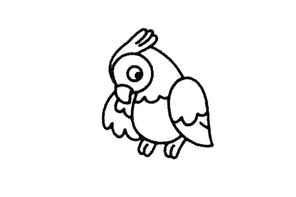鹦鹉简笔画