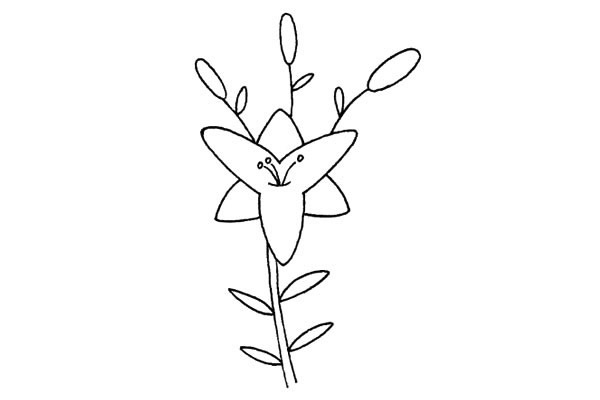 百合花简笔画步骤图