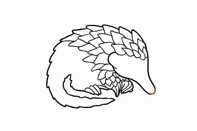 穿山甲简笔画