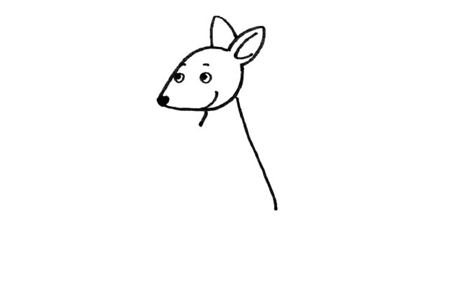 袋鼠简笔画步骤3
