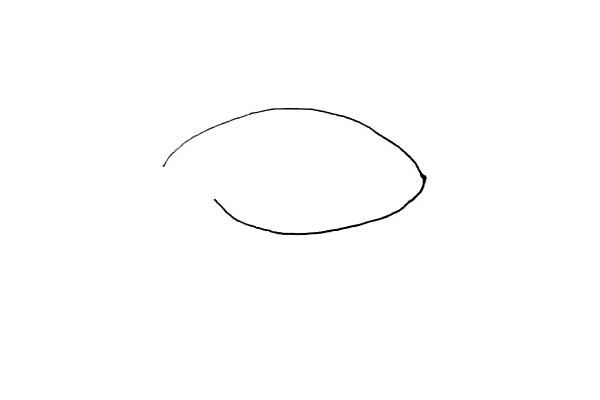 鲨鱼简笔画