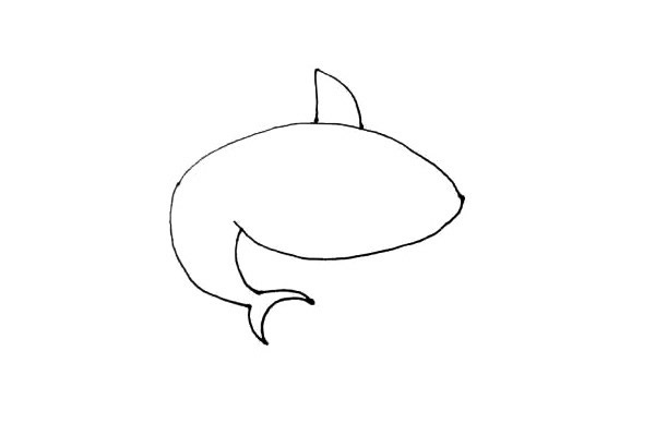 鲨鱼简笔画