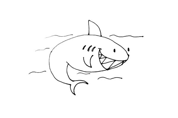 鲨鱼简笔画