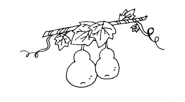 藤蔓上的葫芦简笔画