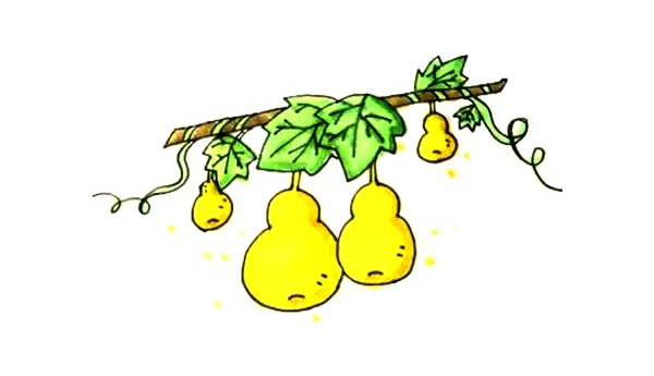藤蔓上的葫芦简笔画