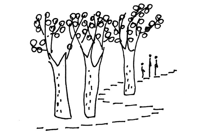 秋天风景简笔画