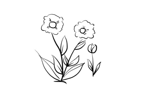 漂亮的小花花简单画法简笔画