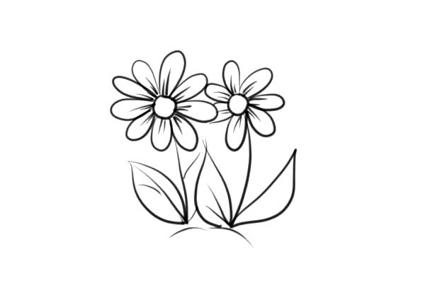 漂亮的小花花简单画法简笔画