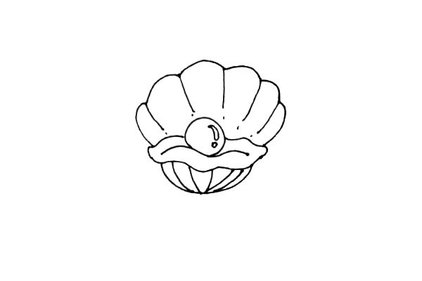 珍珠贝壳简笔画步骤图文教程