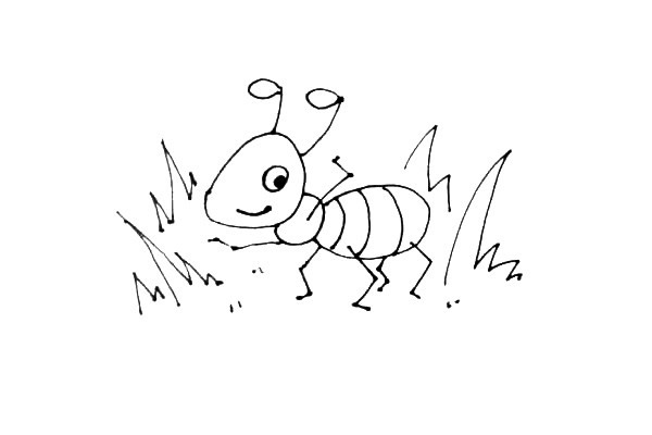 卡通蚂蚁简笔画