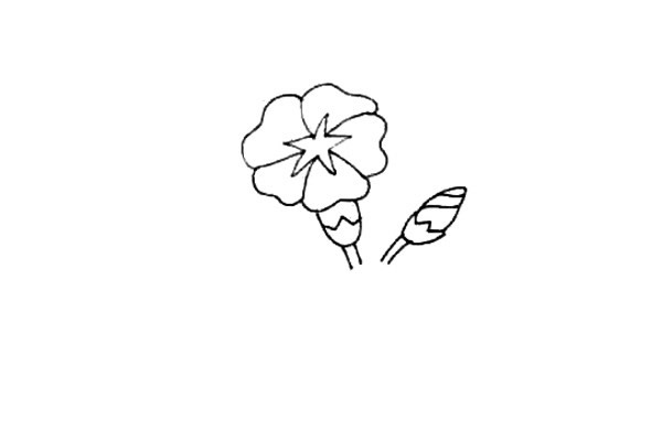 牵牛花简笔画步骤图