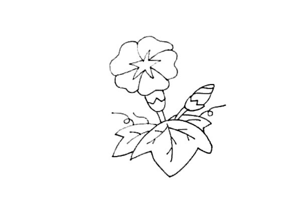 牵牛花简笔画步骤图