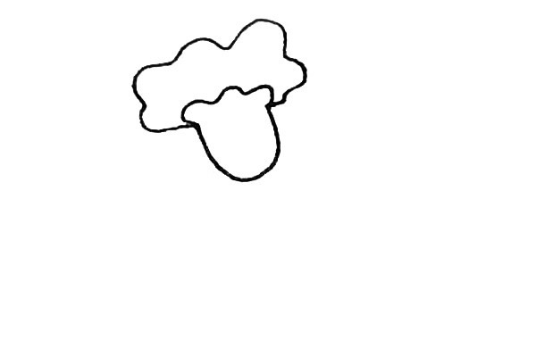 鸡冠花简笔画