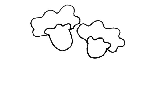 鸡冠花简笔画