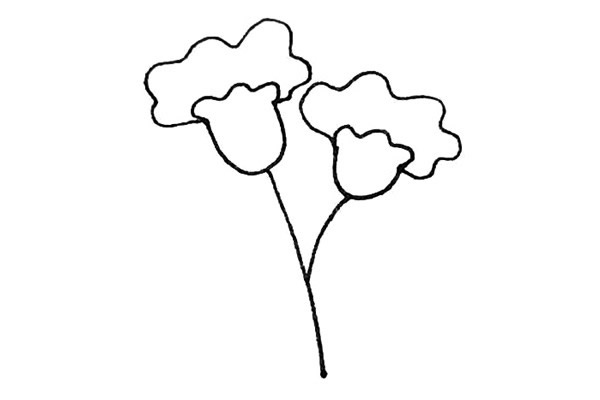 鸡冠花简笔画