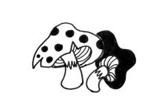一组黑白线描蘑菇的画法简笔画