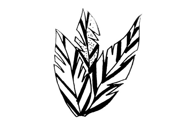 植物的画法