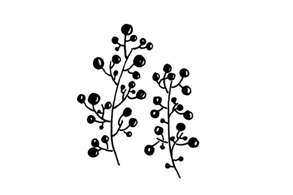 植物的画法