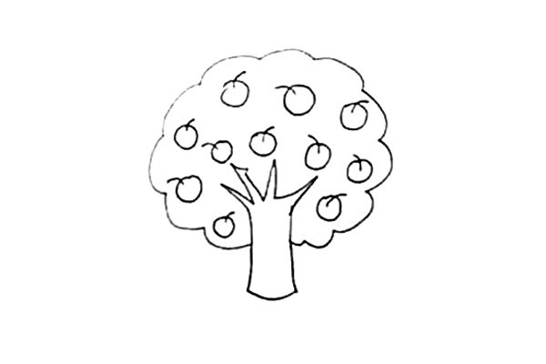 苹果树简笔画