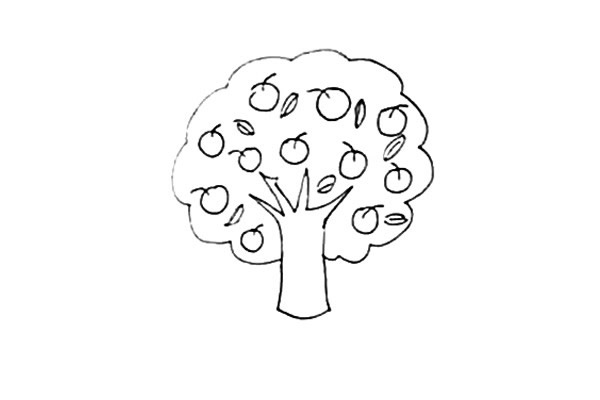 苹果树简笔画