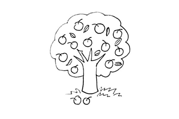 苹果树简笔画