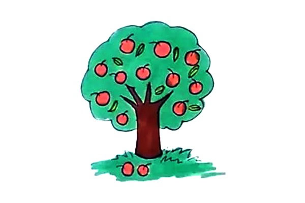 苹果树简笔画