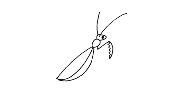 螳螂简笔画