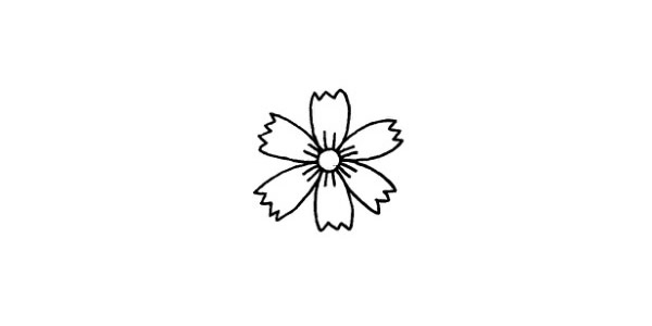 菊花简笔画