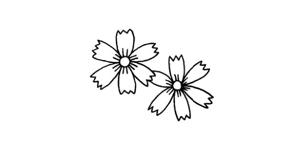 菊花简笔画