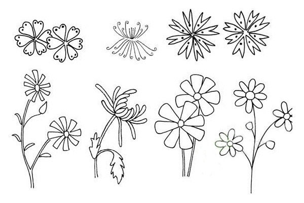 菊花简笔画