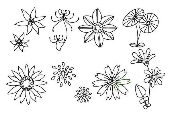 菊花简笔画