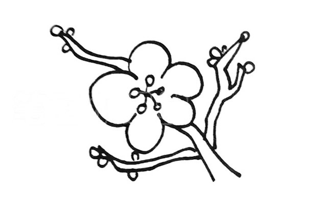 腊梅花简笔画