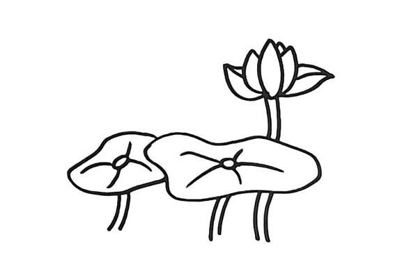 漂亮的荷花简笔画