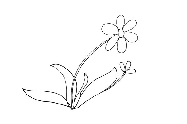 太阳花简笔画