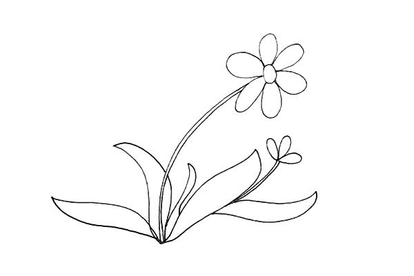 太阳花简笔画