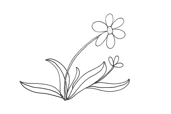太阳花简笔画