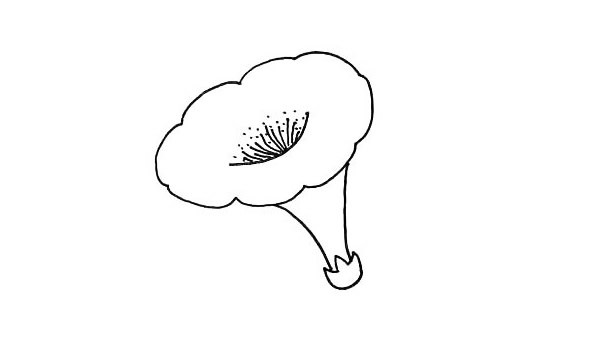 喇叭花简笔画