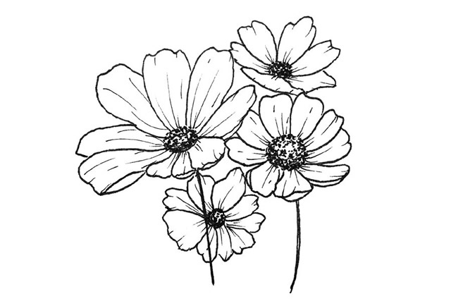 漂亮的鲜花花朵简笔画图片2