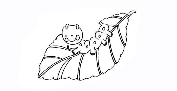 叶子上的毛毛虫简笔画
