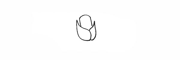 紫色玫瑰花简笔画
