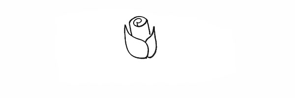 紫色玫瑰花简笔画