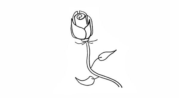 紫色玫瑰花简笔画