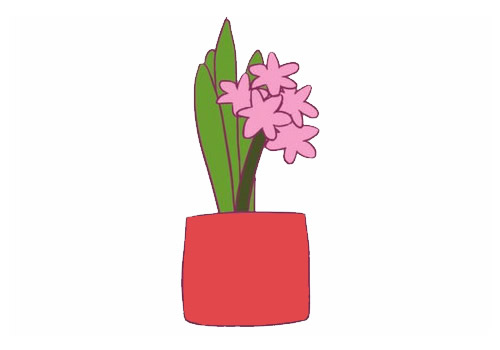 风信子简笔画