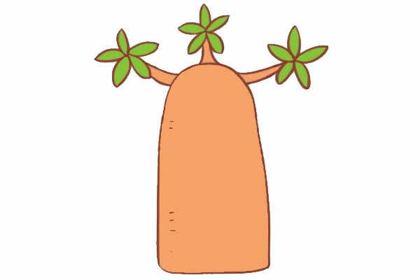 面包树简笔画图片步骤四
