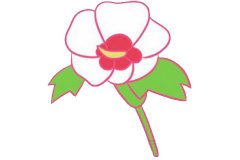 木槿花简笔画的画法步骤教程及图片大全
