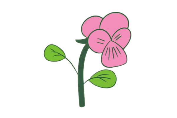 三色堇简笔画图片步骤四
