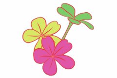 荼蘼花简笔画的画法步骤教程及图片大全
