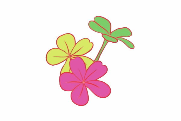 荼蘼花简笔画图片