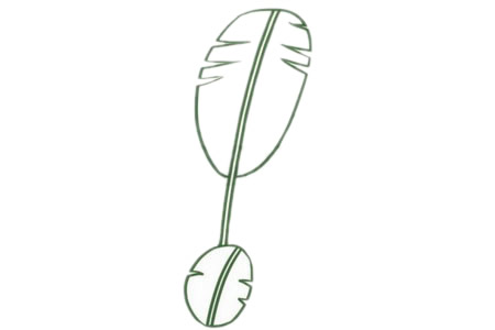 芭蕉树简笔画图片